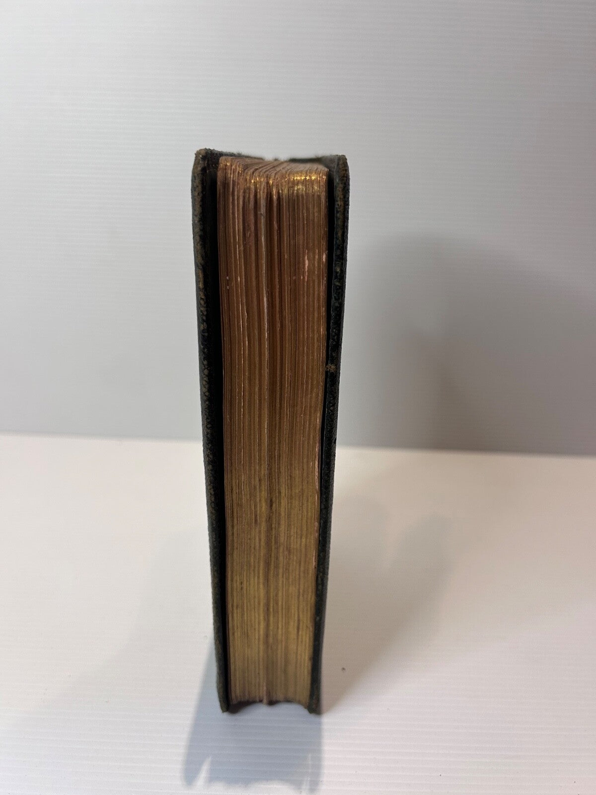 Poetical Works of Adam Lindsay Gordon HC Ward Lock c1900 Gilt Leather 304pp
