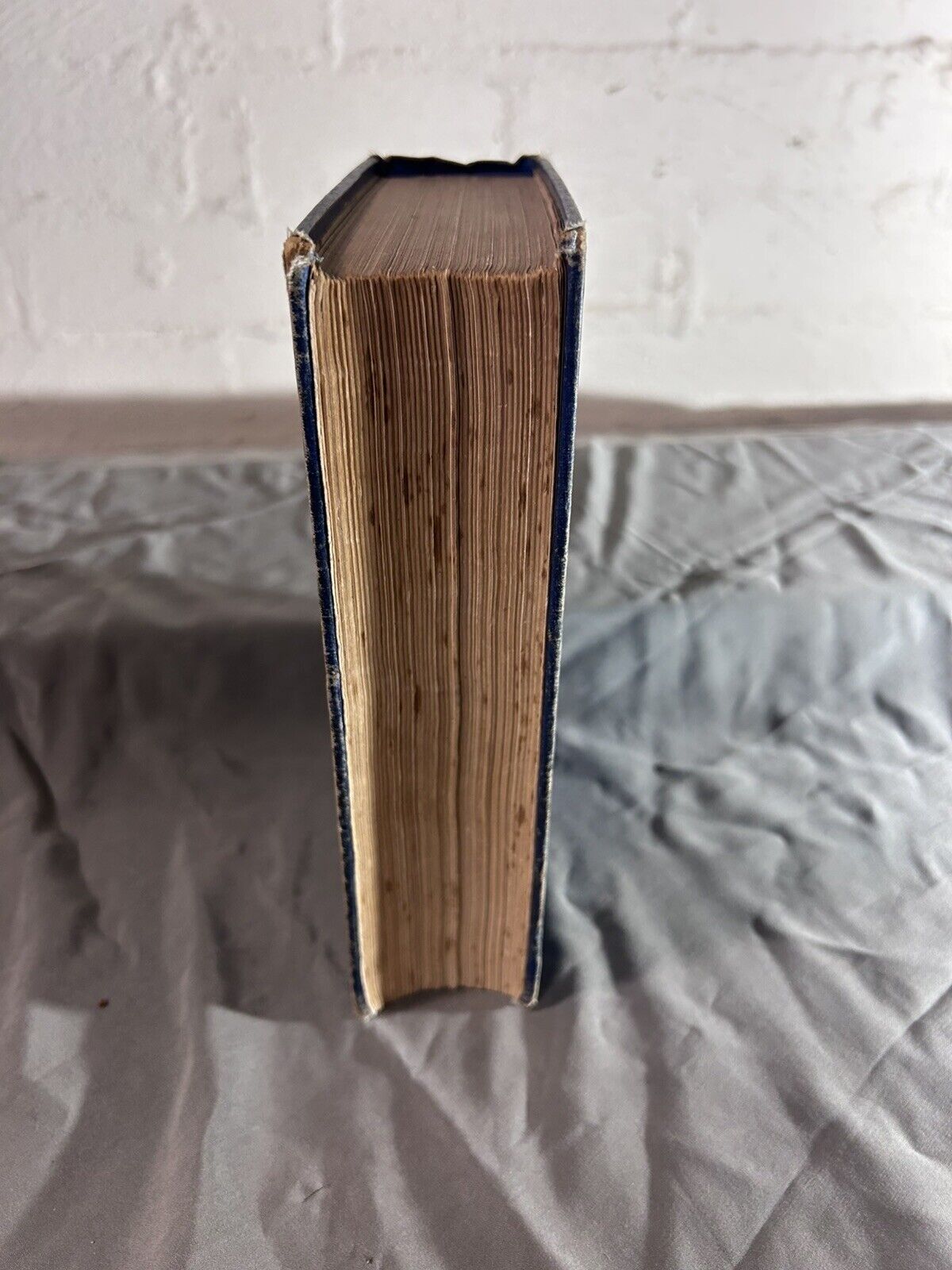 Lorna Doone 1900s edition by BLACKMORE, R. D.  with colour illustrations