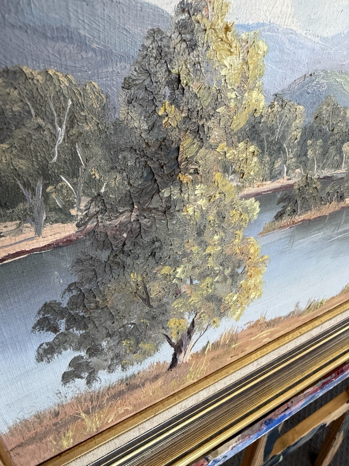 Sally Brown Original Oil Painting Terramona Lake NSW Australian Landscape Art