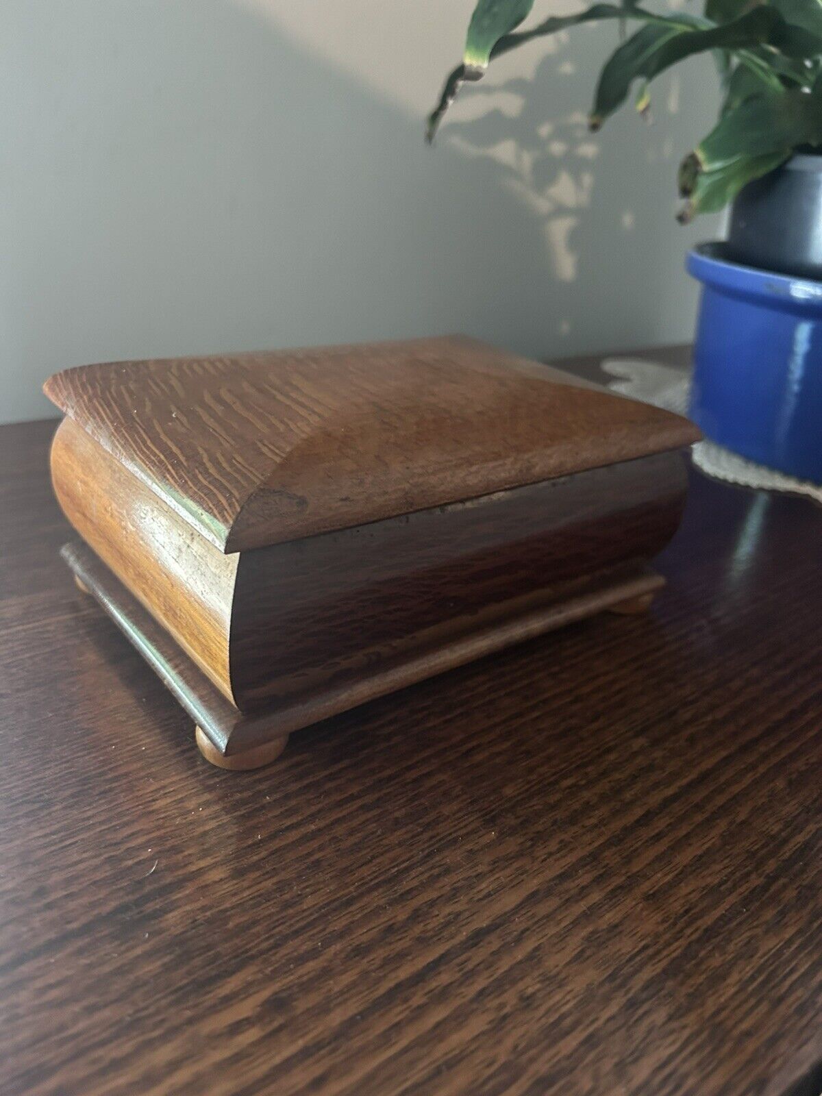Australian Timber Gems of the Forest  Jewelery Box - Vintage Collectable