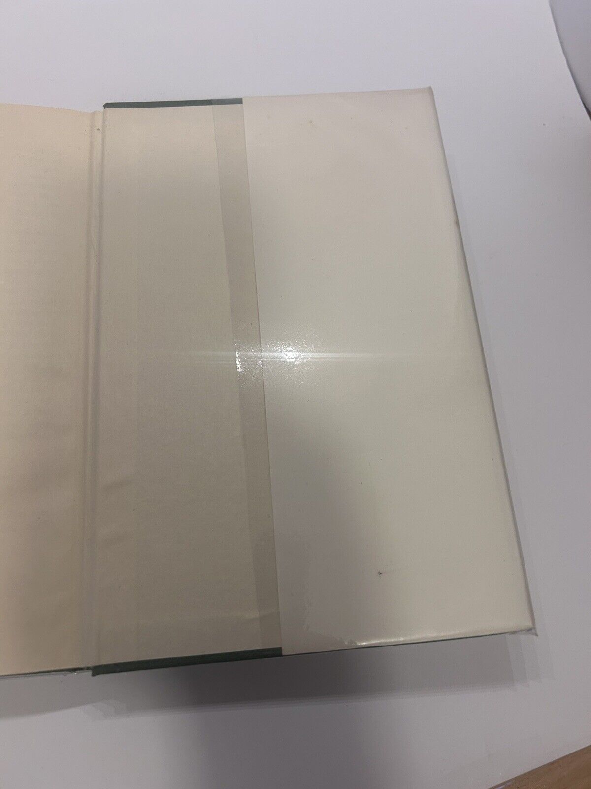 Challenge Me the Race by Mike Hawthorn 1959 Dust Jacket & Hard Cover Grand Prix