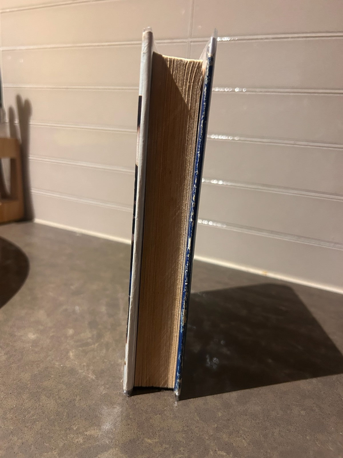 The Templeton Twins – Judith Carr | Early Ed. Vintage Hardcover w/ Dust Jacket