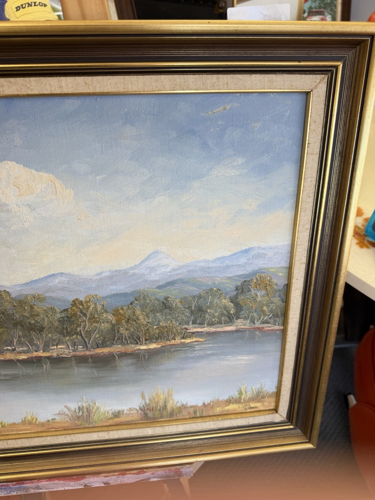 Sally Brown Original Oil Painting Terramona Lake NSW Australian Landscape Art