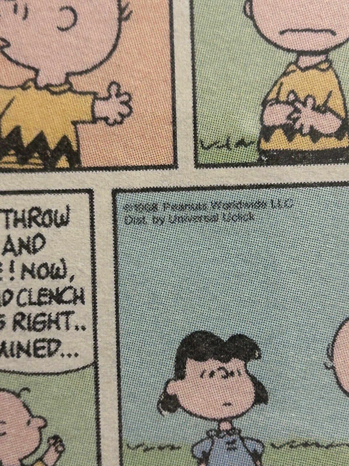 Framed 1968 Peanuts Comic Strip – Charlie Brown & Lucy “Face the Future” Schulz