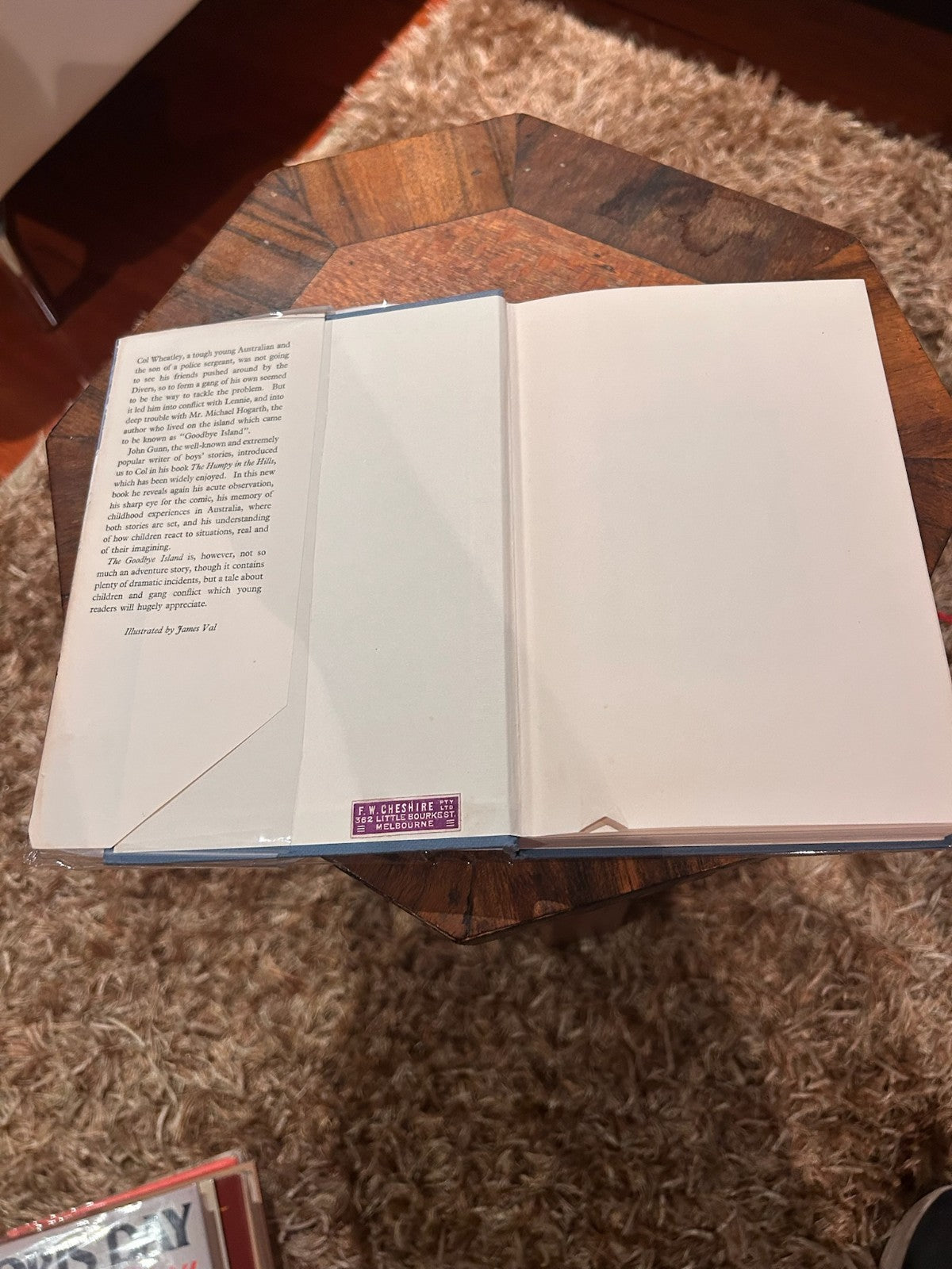 The Goodbye Island by John Gunn | 1963 First Edition Hardcover | Vintage Fiction