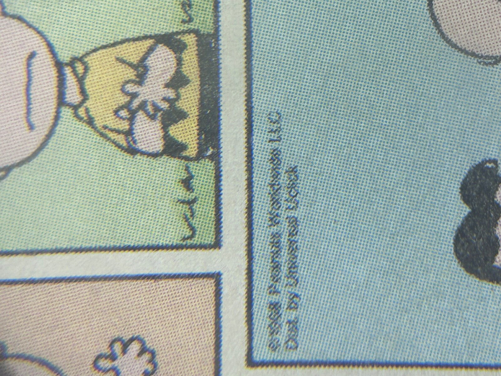 Framed 1968 Peanuts Comic Strip – Charlie Brown & Lucy “Face the Future” Schulz