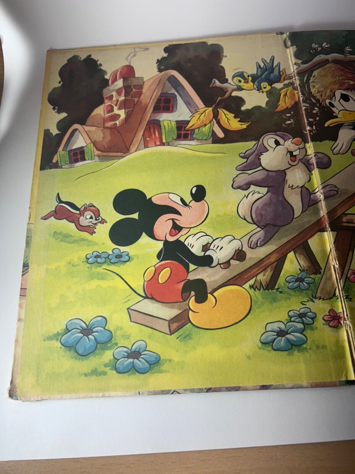 Circa 1945 Donald Duck's Wonder Book Copyright Walt Disney Mickey Mouse Ltd RARE