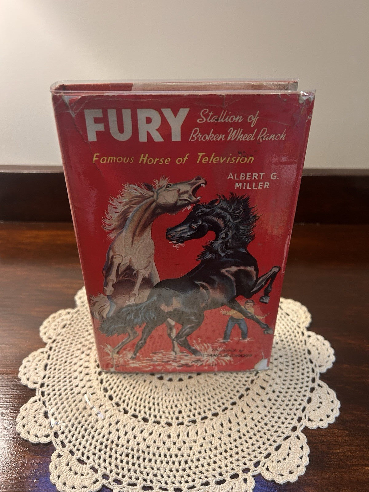 Fury Stallion of Broken Wheel Ranch 1962 HC DJ Albert G Miller Collins UK