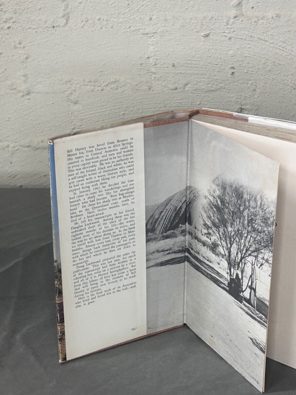 The Shady Tree Bill Harney & Douglas Lockwood First Edition Hardcover Dust Jacke