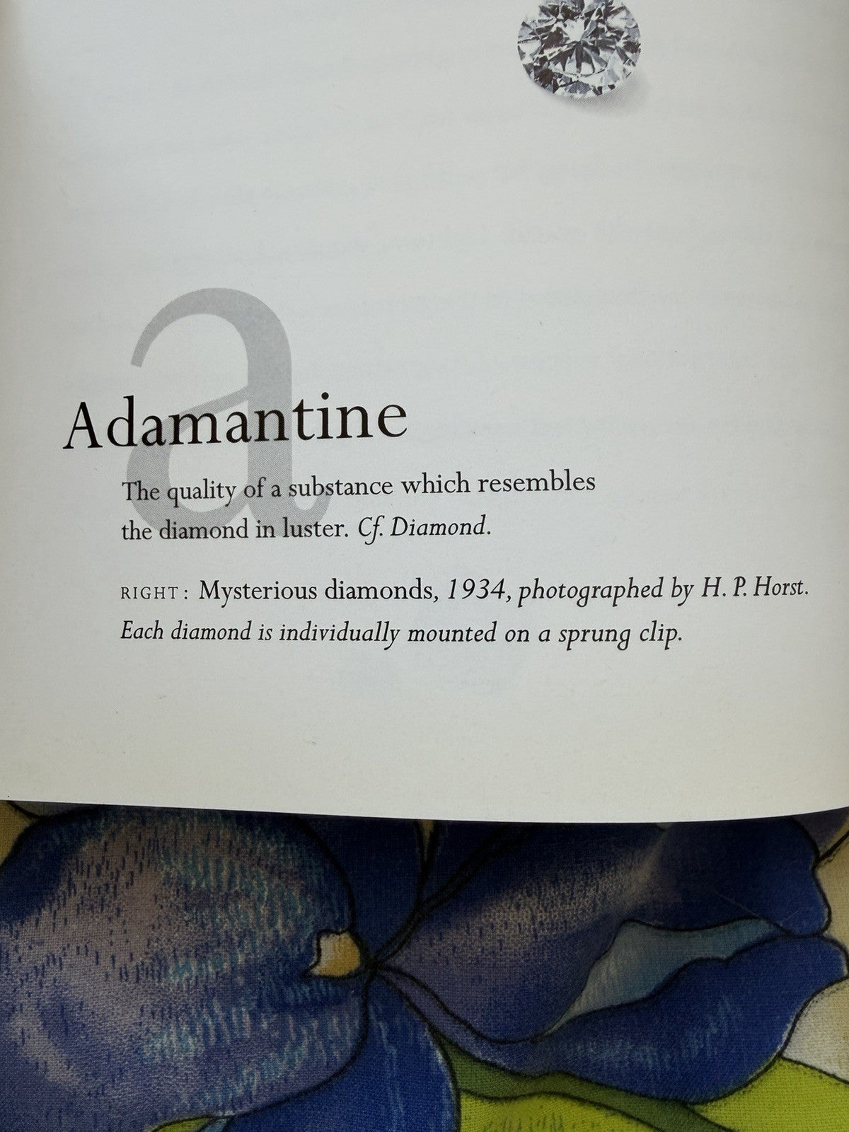 Cartier Jewelry Glossary 1998 François Chaille Hardcover Illustrated Jewellery