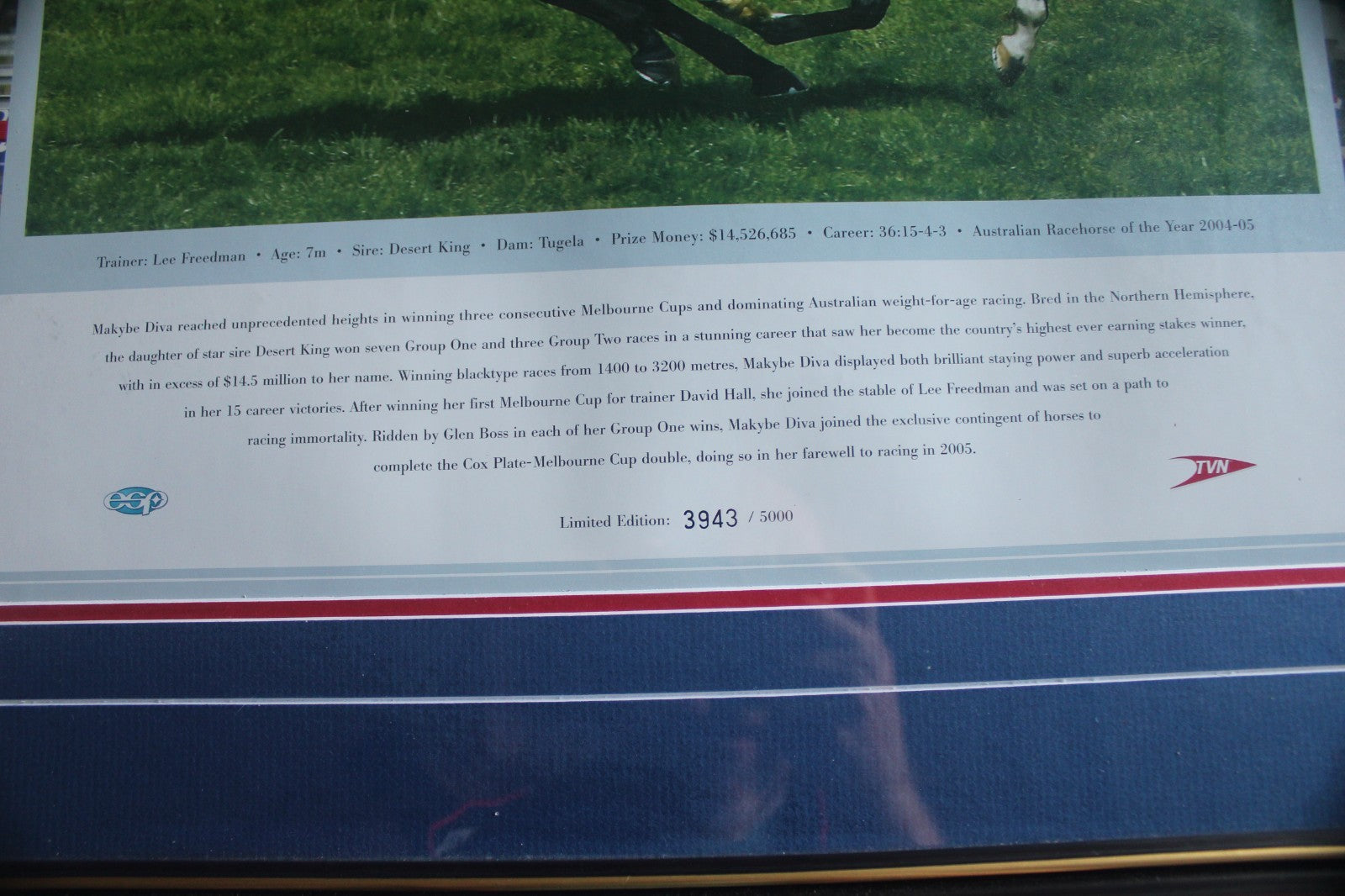 Makybe Diva “The Greatest” Limited Edition Framed Print Melbourne Cup Legend