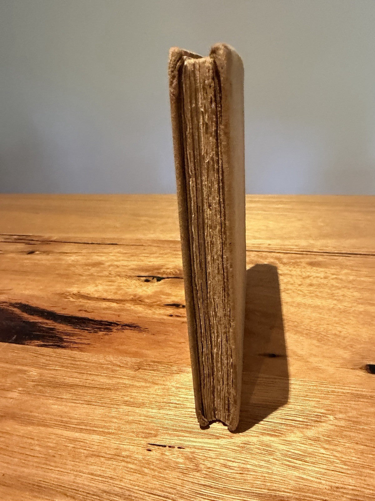 Stories From Don Quixote John Lang c1910 Antique Illustrated Childrens Book