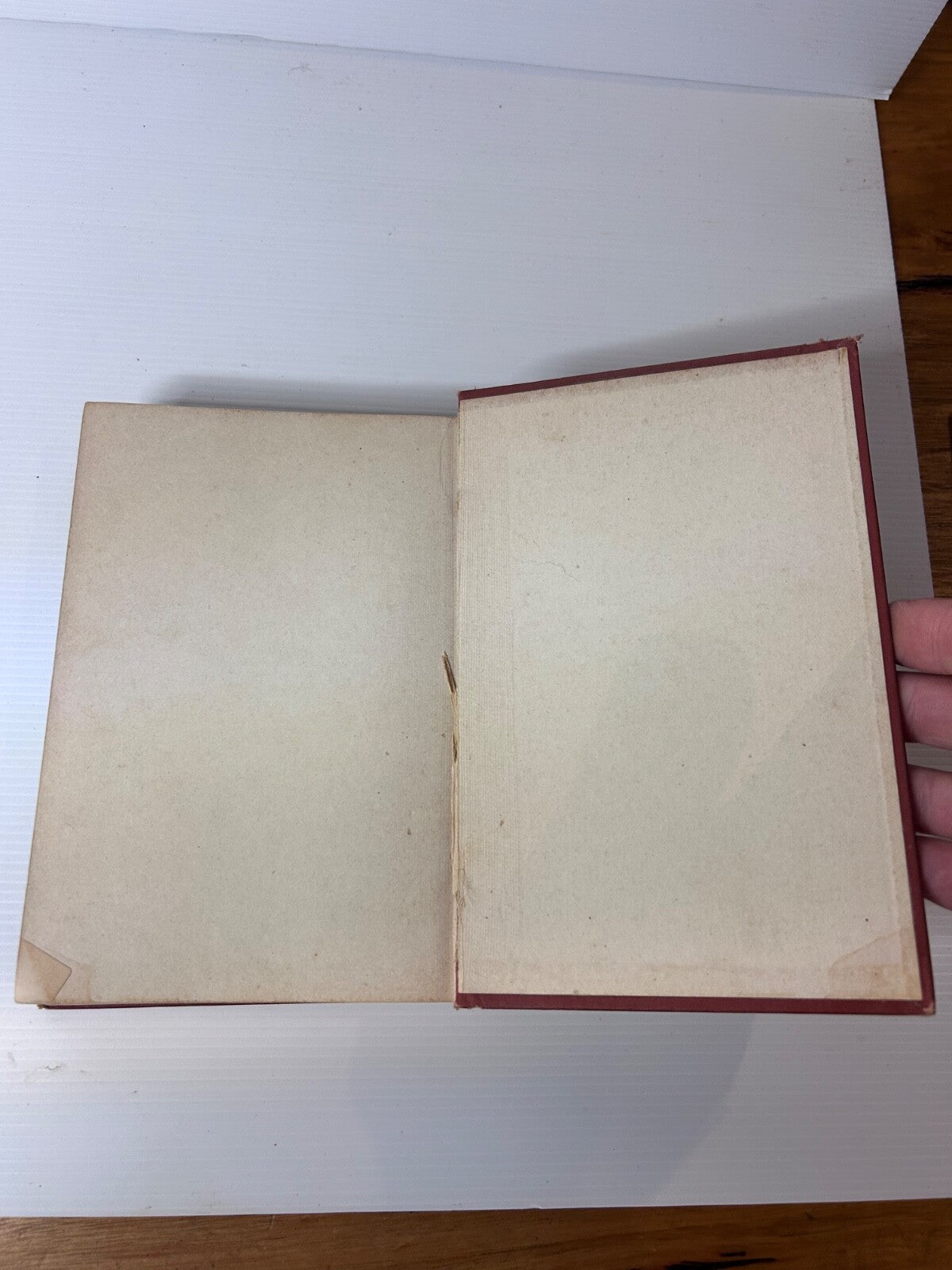 The Little Larrikin 1896 Ethel Turner 1st Ed HC Ward Lock Australia Fiction