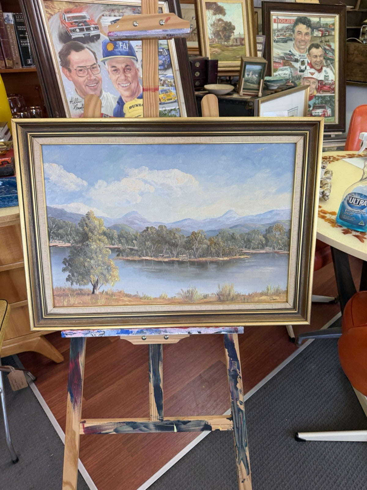 Sally Brown Original Oil Painting Terramona Lake NSW Australian Landscape Art