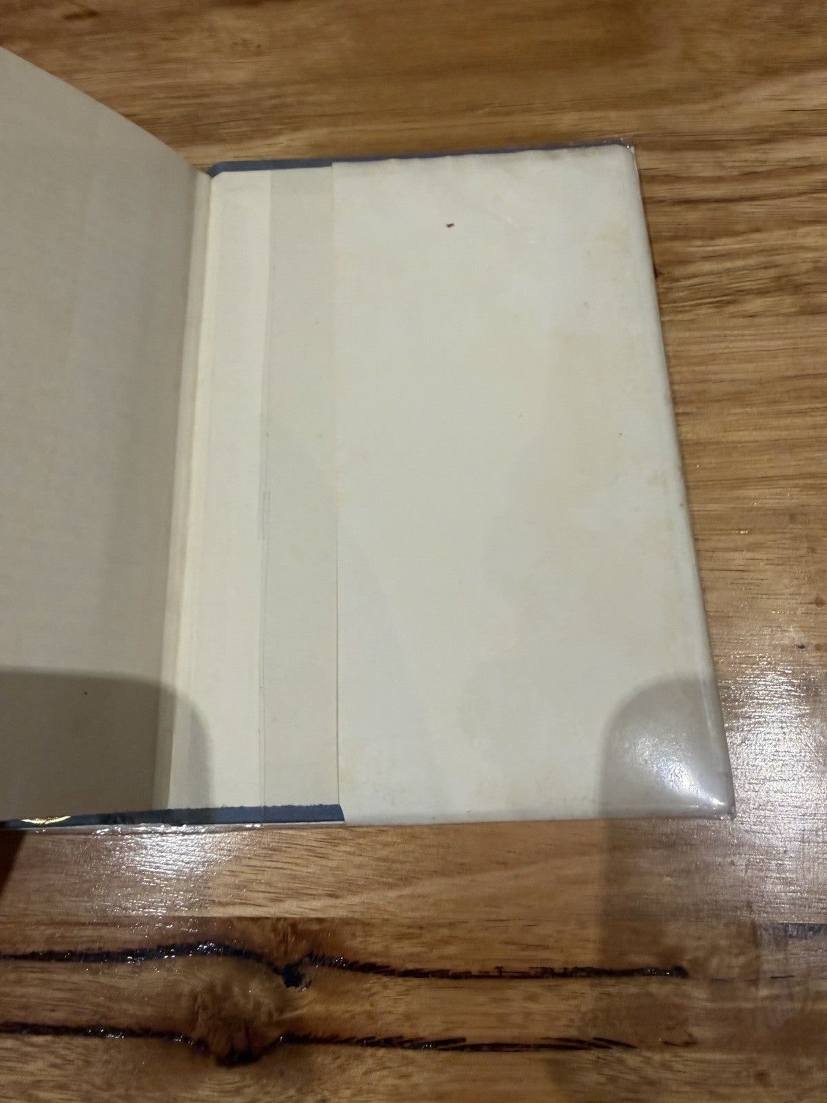 Ann & Peter in Paris Barbara Ker Wilson 1963 1st Ed HC DJ Kennedys Abroad