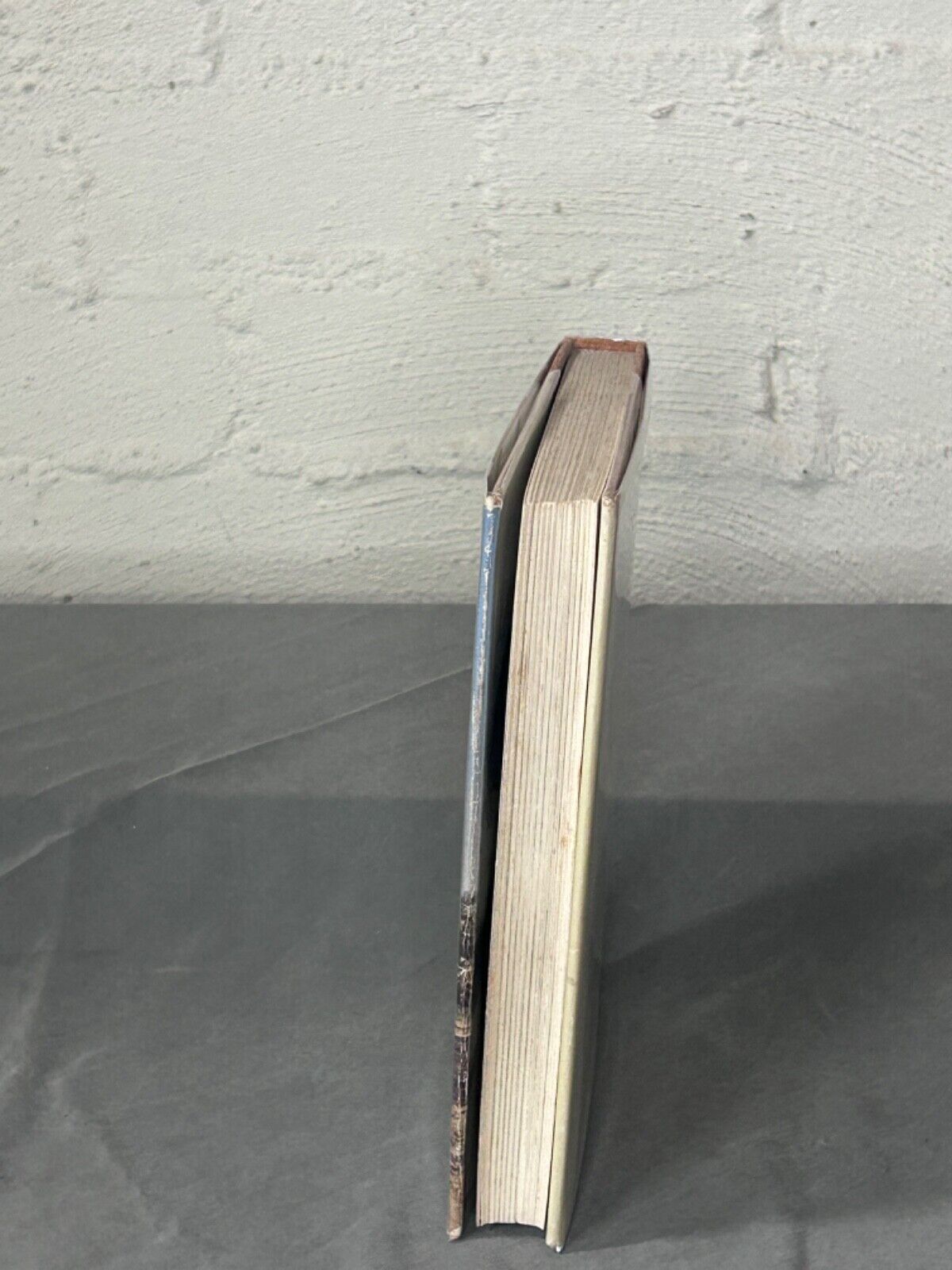 The Shady Tree Bill Harney & Douglas Lockwood First Edition Hardcover Dust Jacke