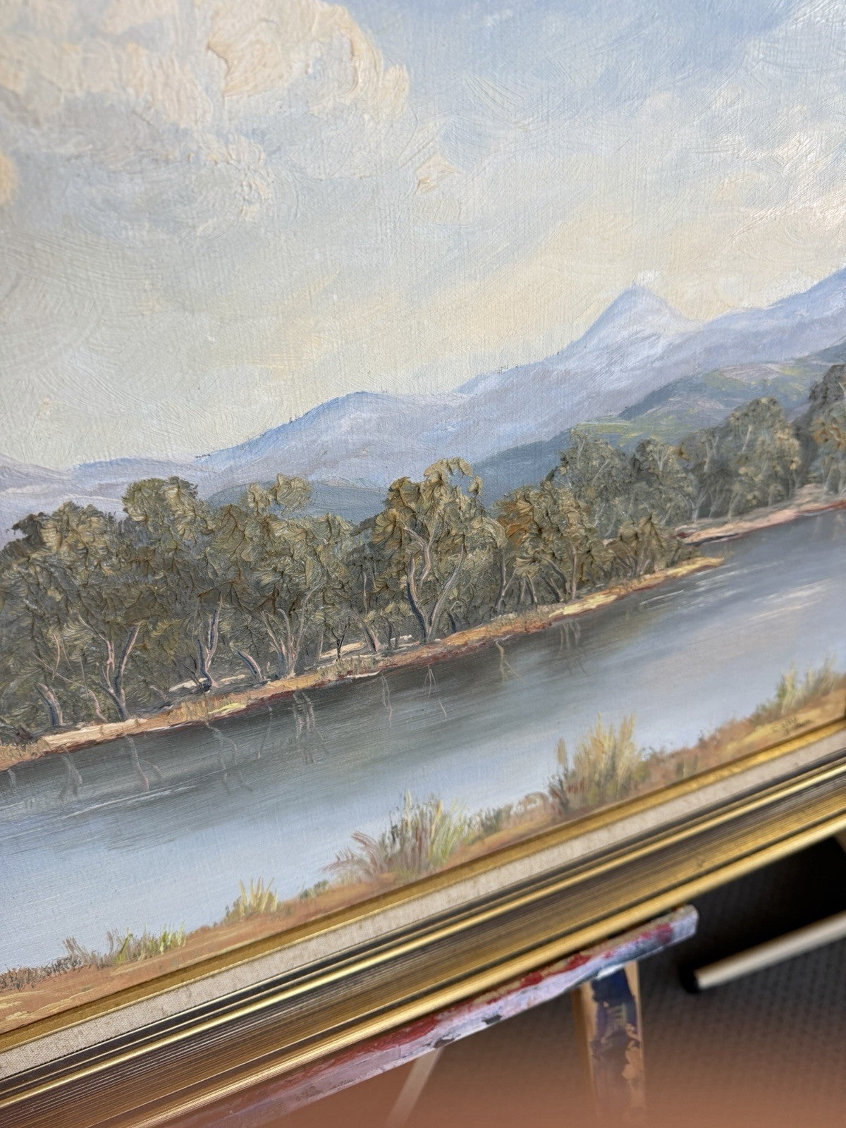 Sally Brown Original Oil Painting Terramona Lake NSW Australian Landscape Art