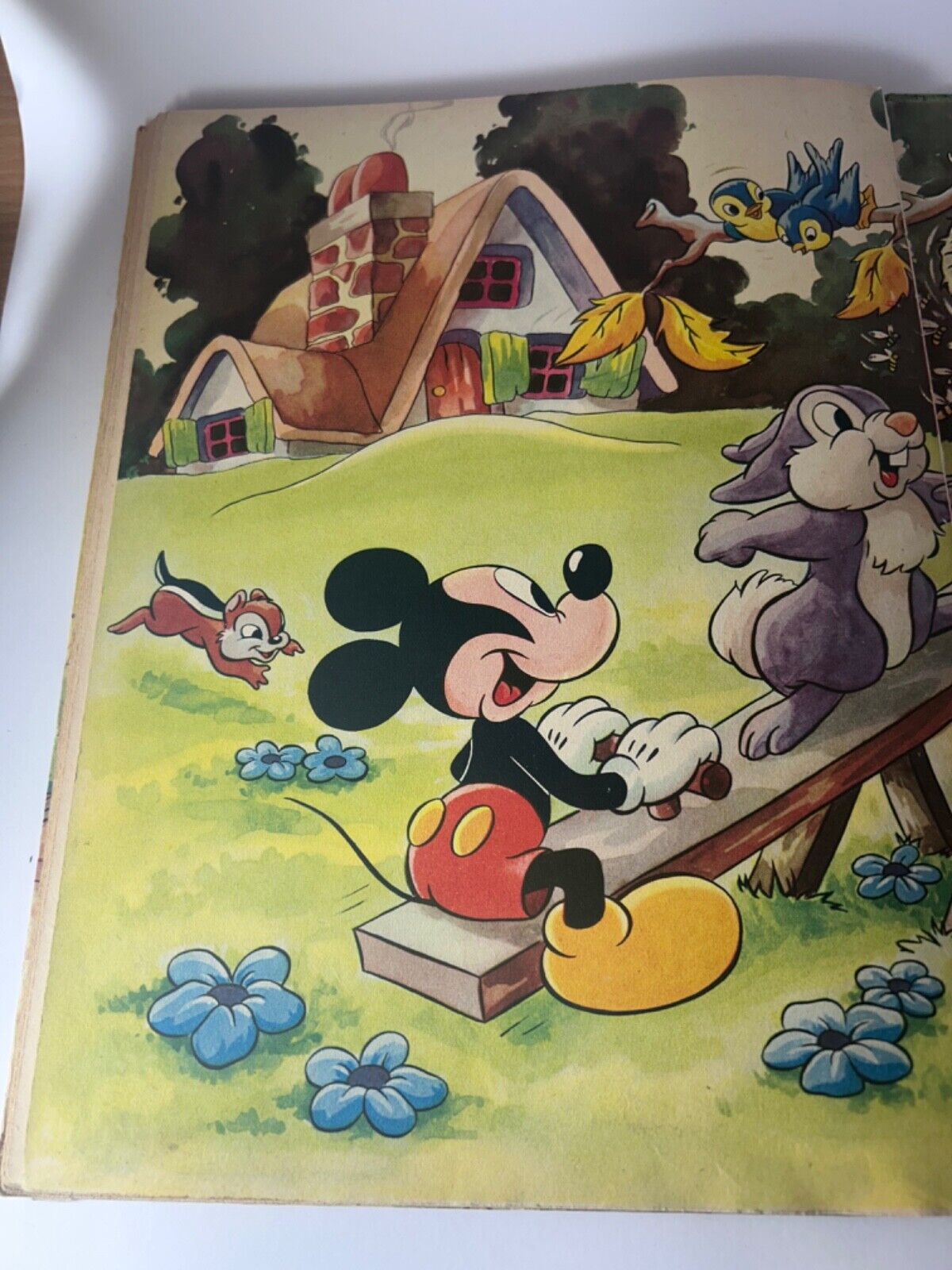 Circa 1945 Donald Duck's Wonder Book Copyright Walt Disney Mickey Mouse Ltd RARE