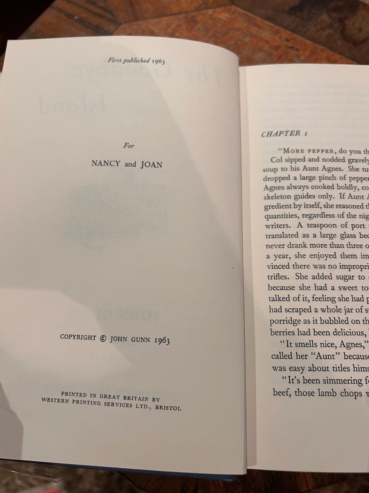 The Goodbye Island by John Gunn | 1963 First Edition Hardcover | Vintage Fiction