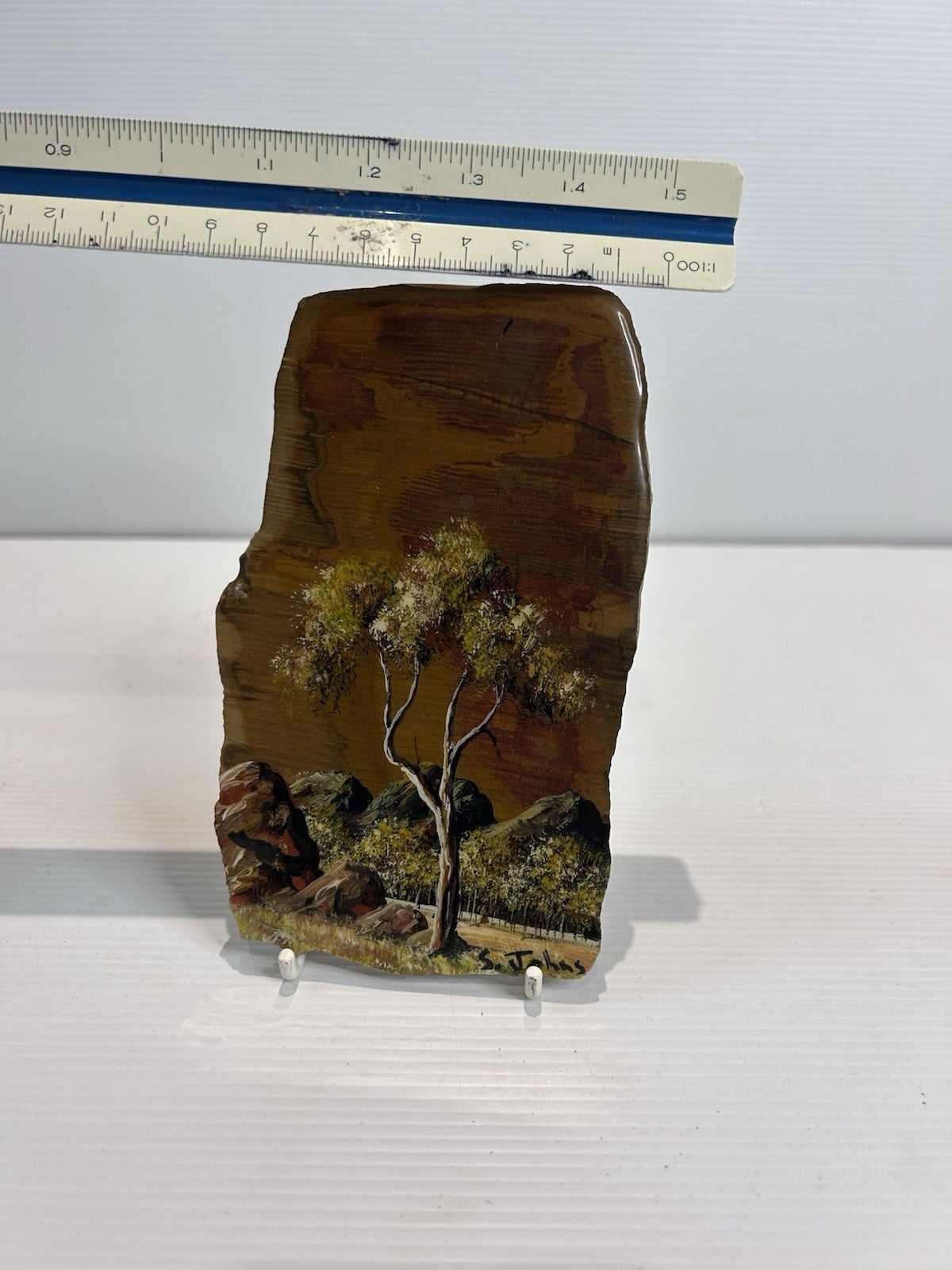 Steve Johns Hand Painted Petrified Wood Art Mareeba QLD Outback Scene