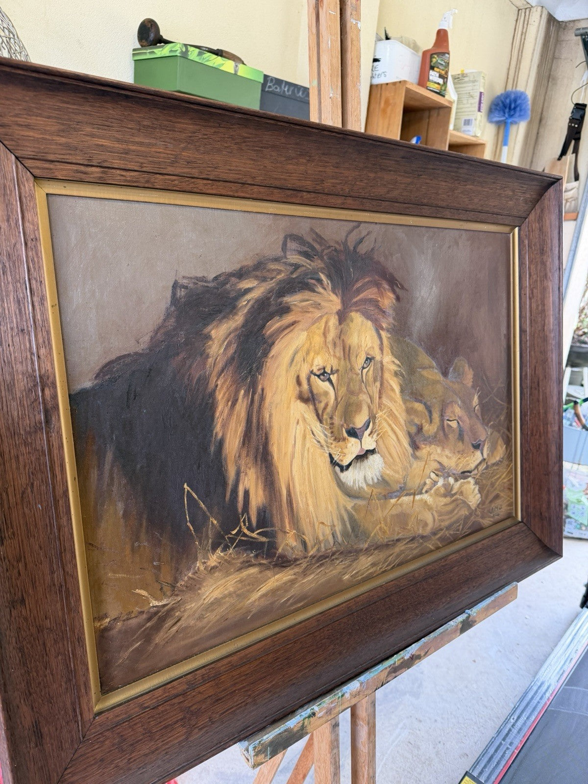 Large Original 1924 Oil Painting Lions – Signed J.M.J. – Period Frame