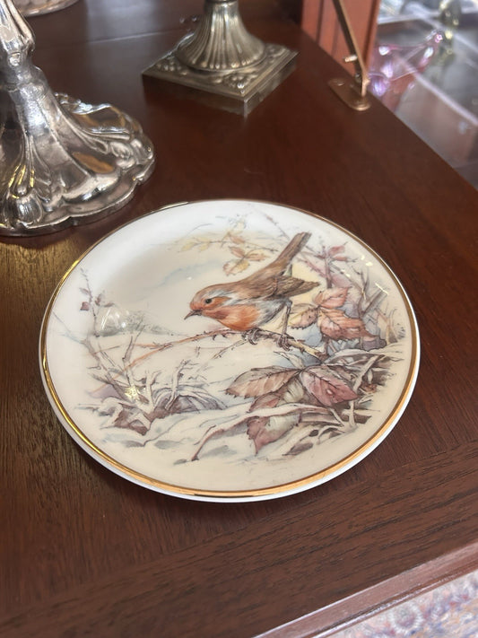 Vintage English Fine China Bird Plate Gilt Rim Decorative Wall Plate 21cm