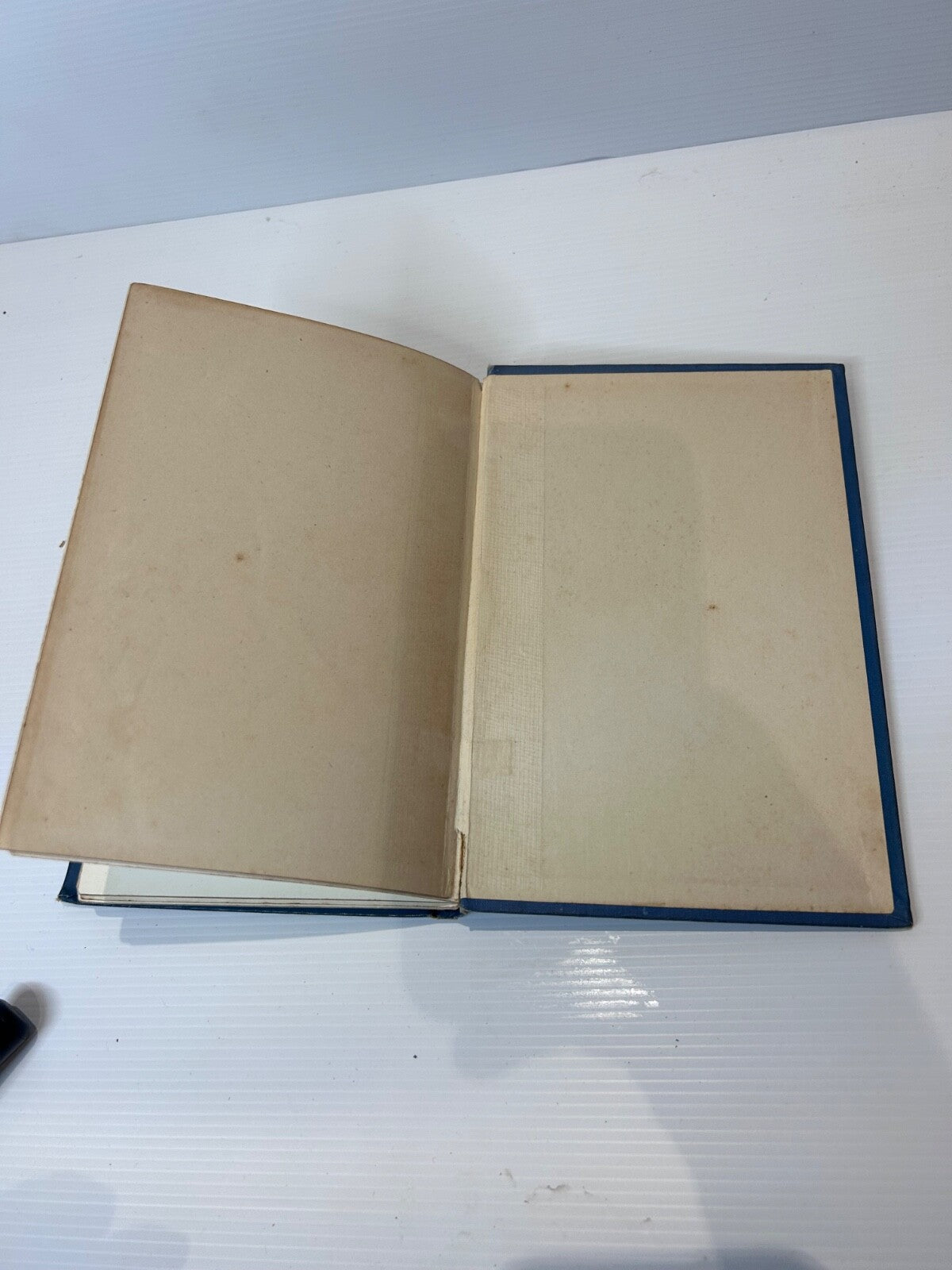 The Monkey That Would Not Kill 1898 1st Ed Louis Wain Illus Hodder Stoughton
