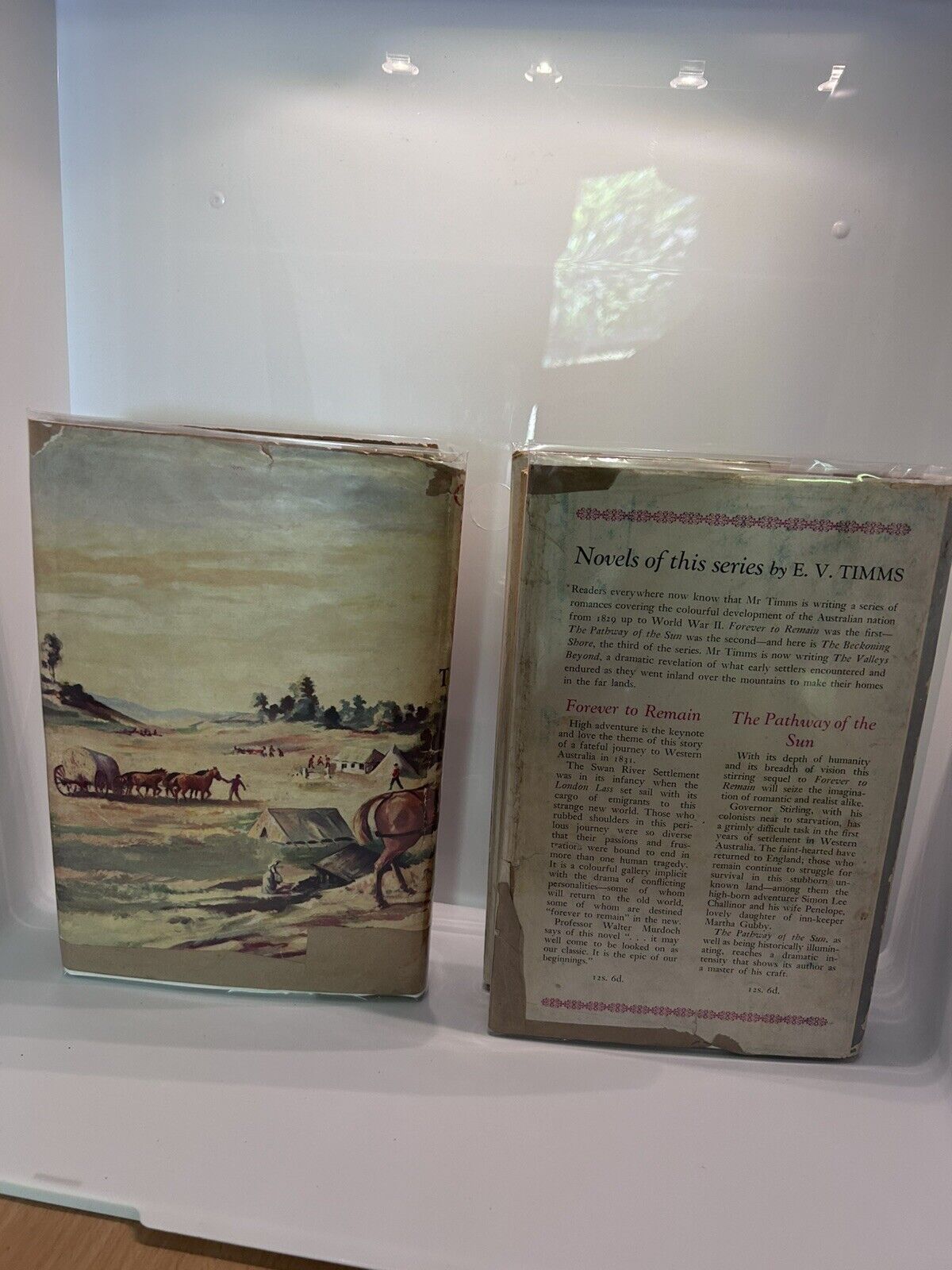 2 X 1st Edition The Beckoning Shore (1950)  & The Challenge (1952)  E. V. Timms