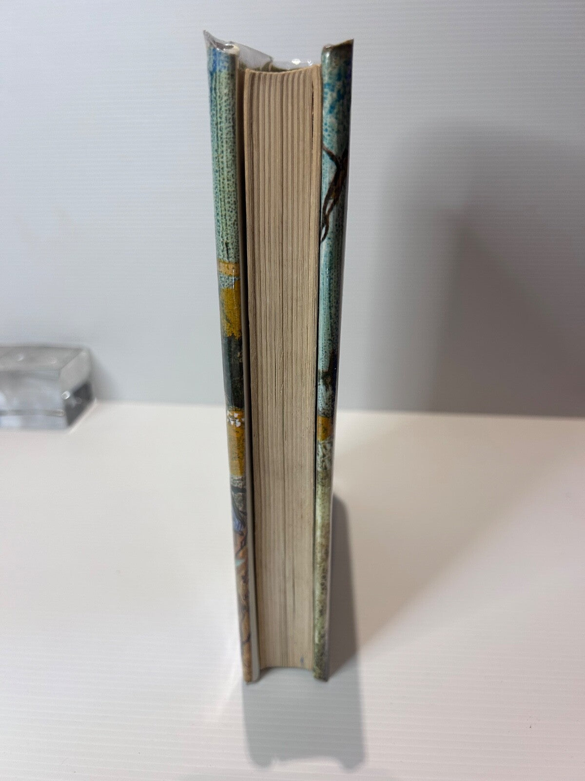 Gully of Gold Mavis Thorpe Clark 1989 HC DJ Illustrated Rachel Tonkin