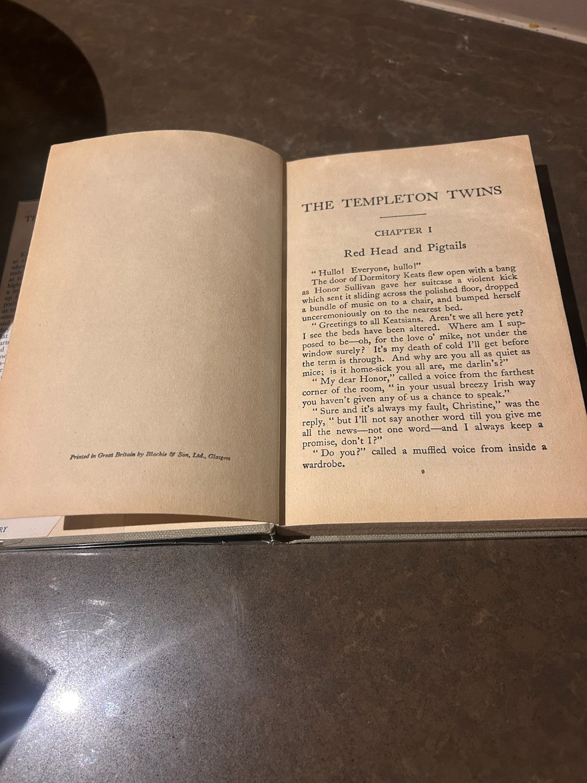 The Templeton Twins – Judith Carr | Early Ed. Vintage Hardcover w/ Dust Jacket