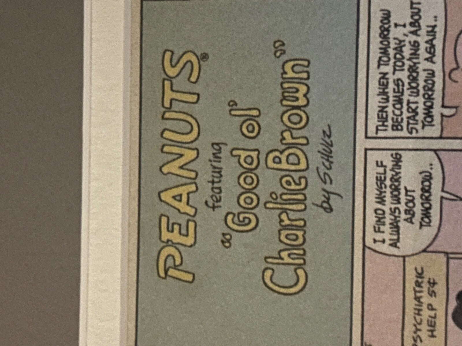 Framed 1968 Peanuts Comic Strip – Charlie Brown & Lucy “Face the Future” Schulz