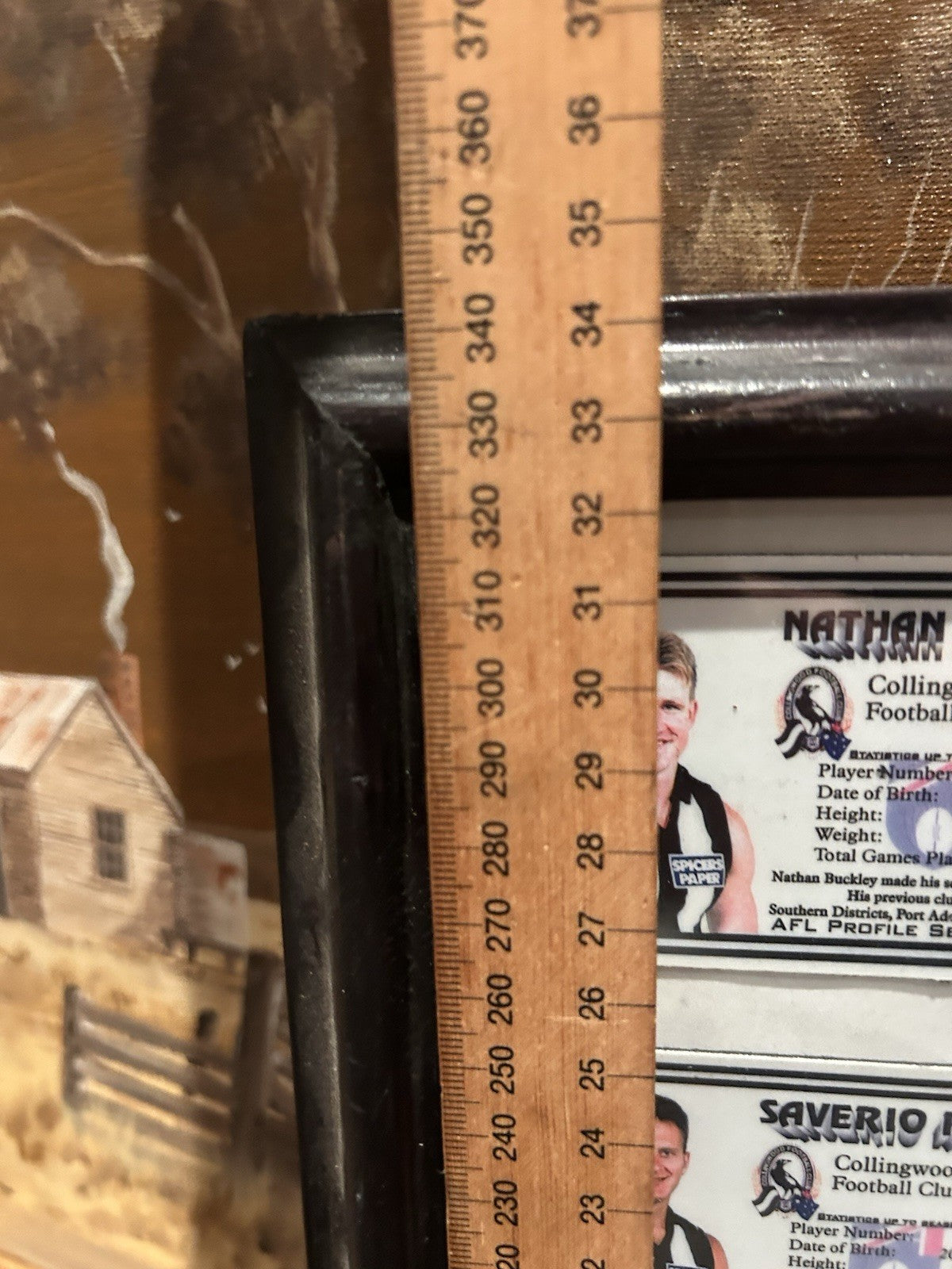 Collingwood AFL Profile Magnets 1997 Framed Set Buckley Rocca Monkhorst