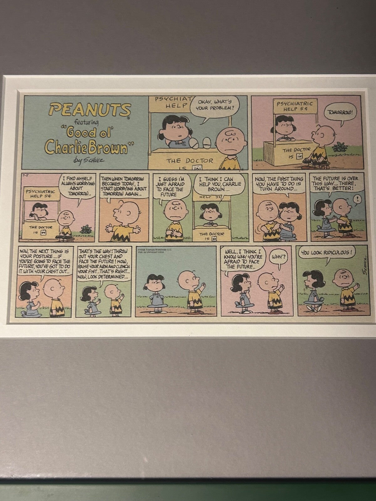 Framed 1968 Peanuts Comic Strip – Charlie Brown & Lucy “Face the Future” Schulz