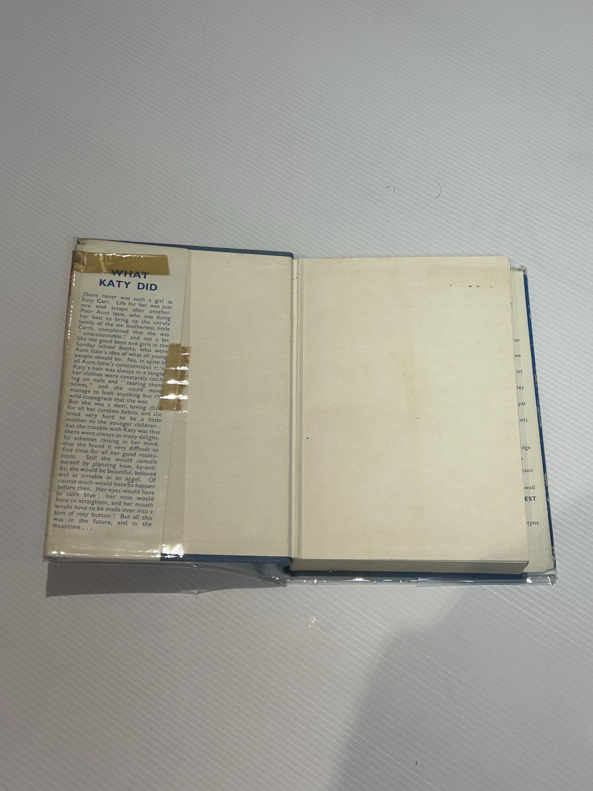 What Katy Did by Susan Coolidge (Hardback) Vintage circa 1950s/1960s - RARE